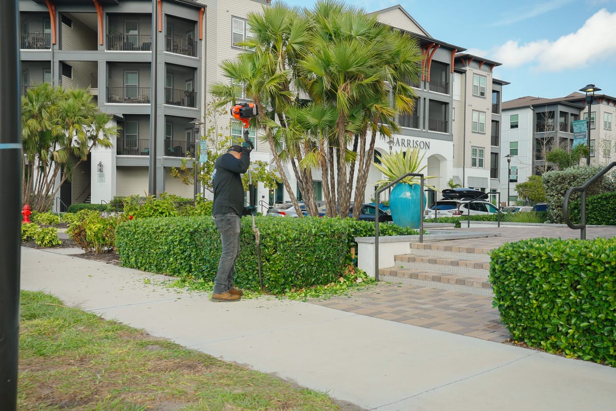 Professional lawn care service 40