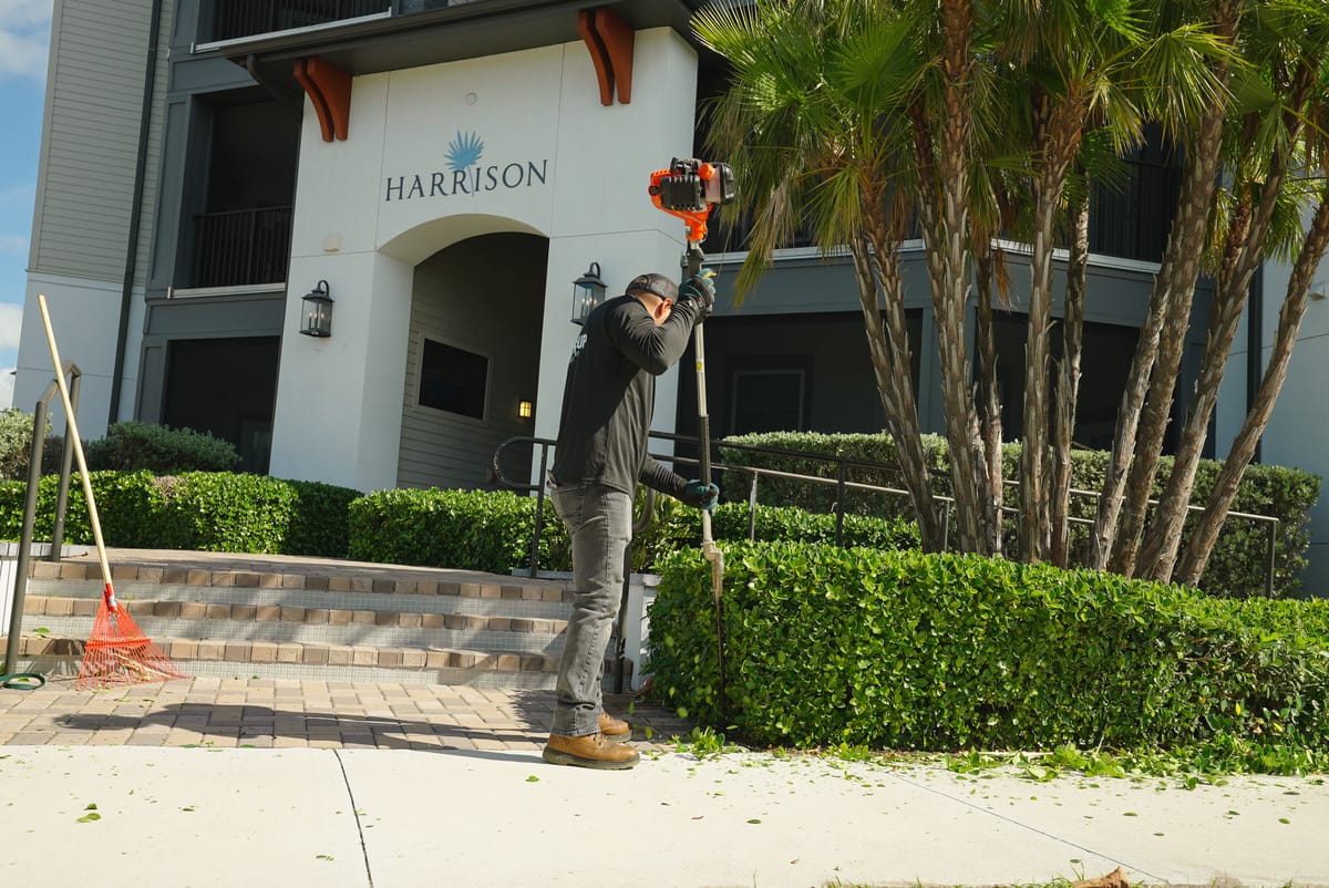 Professional lawn care service 47