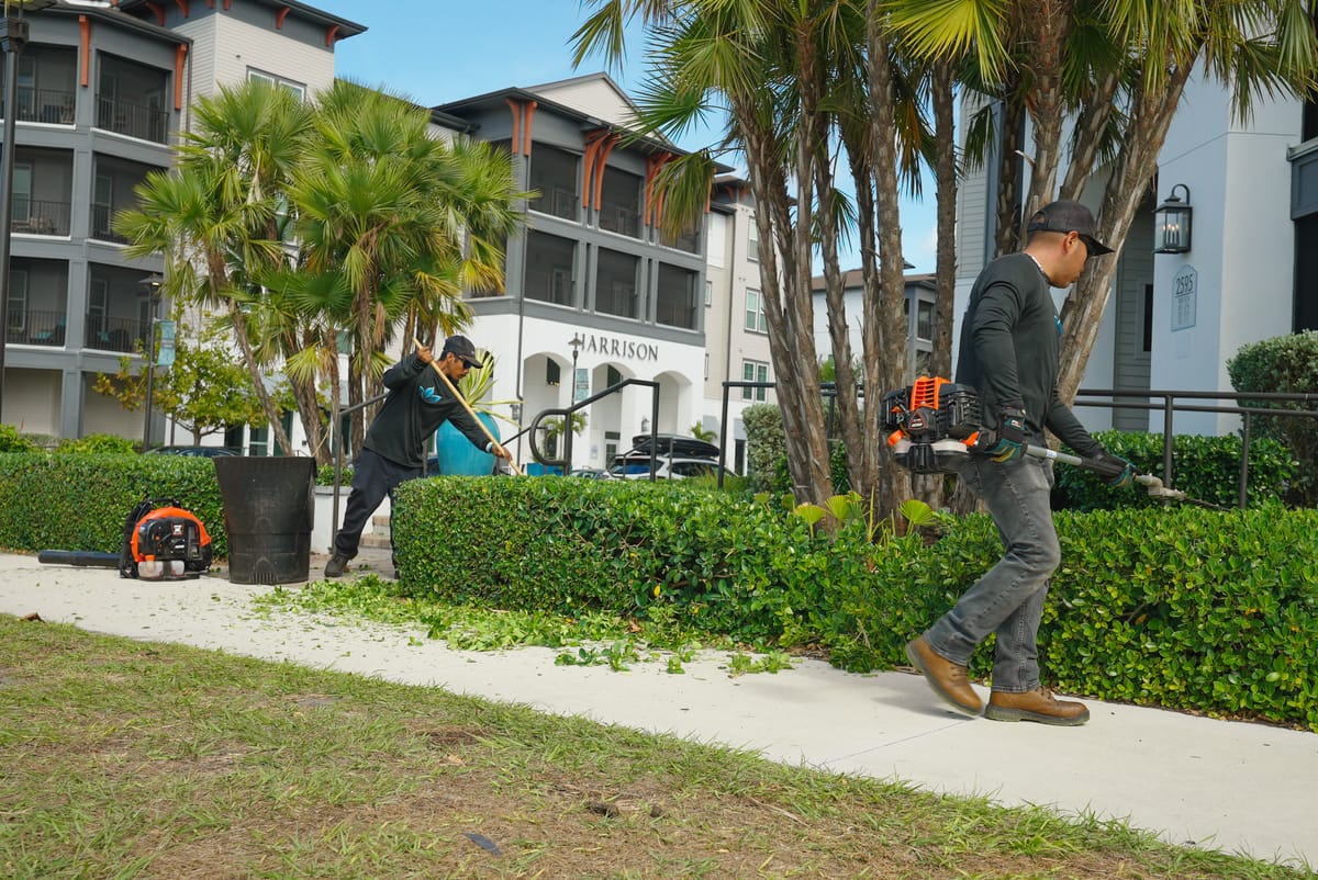 Professional lawn care service 48