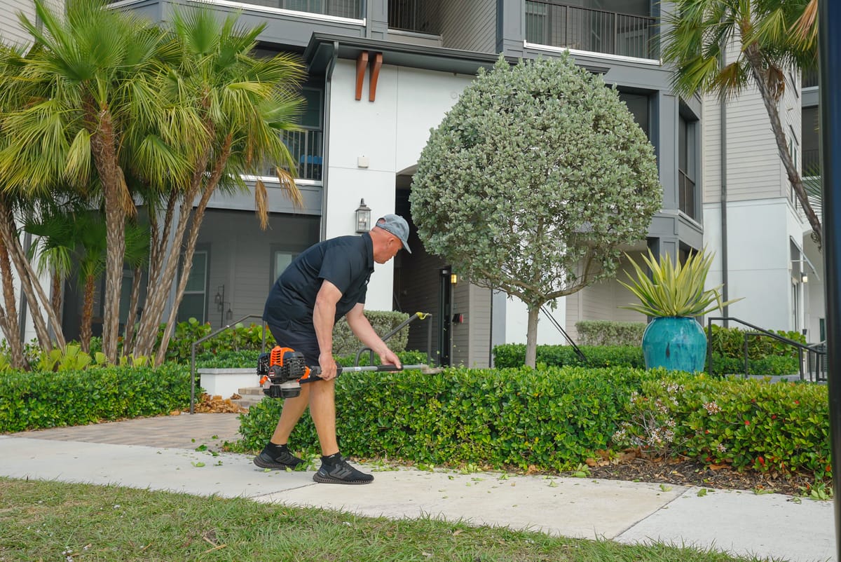 Professional lawn care service 55