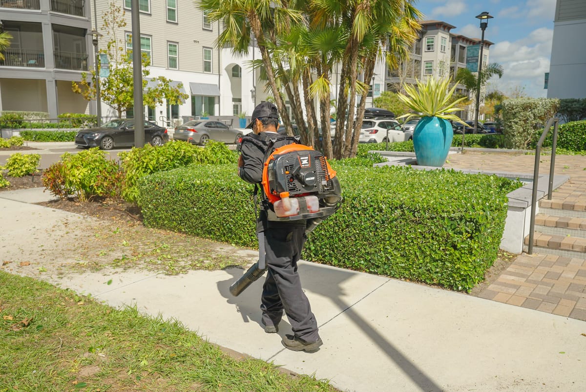 Professional lawn care service 57