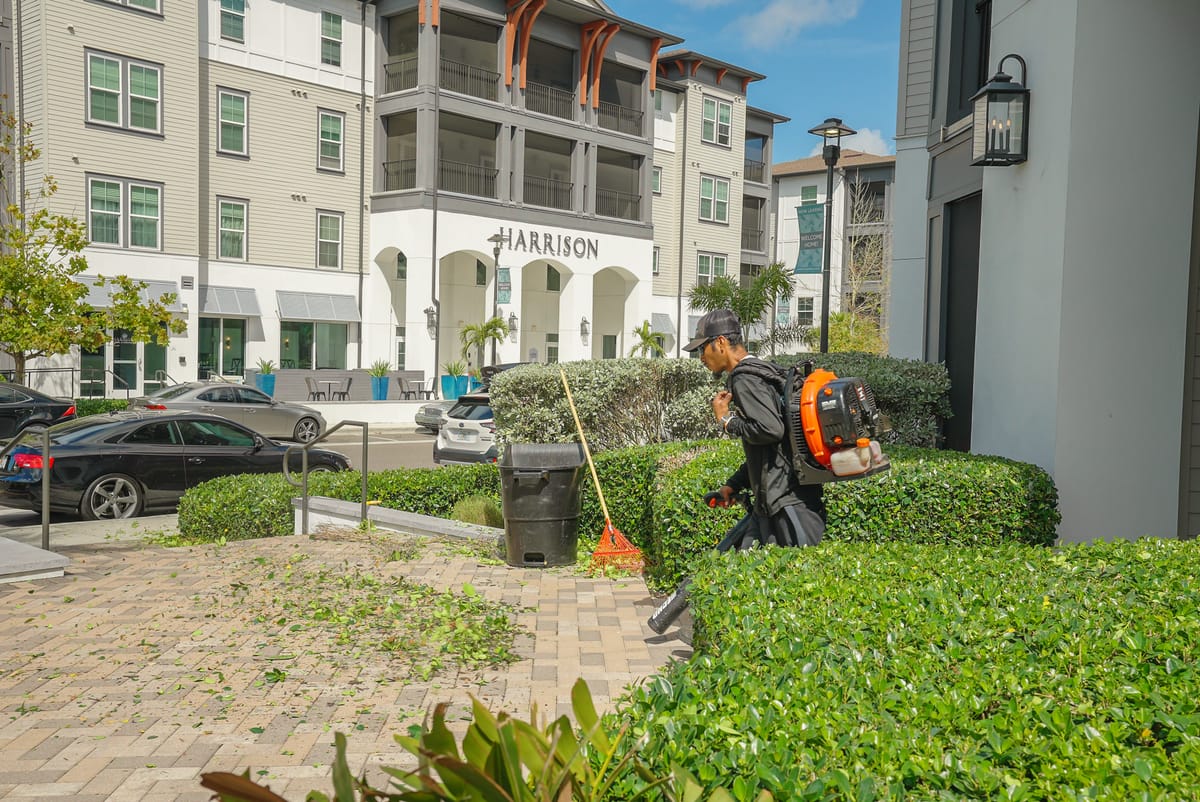 Professional lawn care service 58