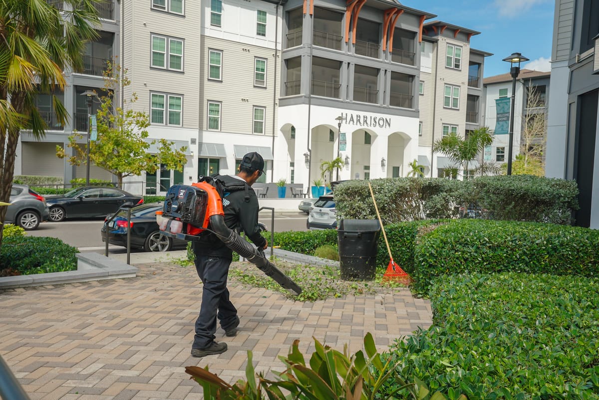 Professional lawn care service 60